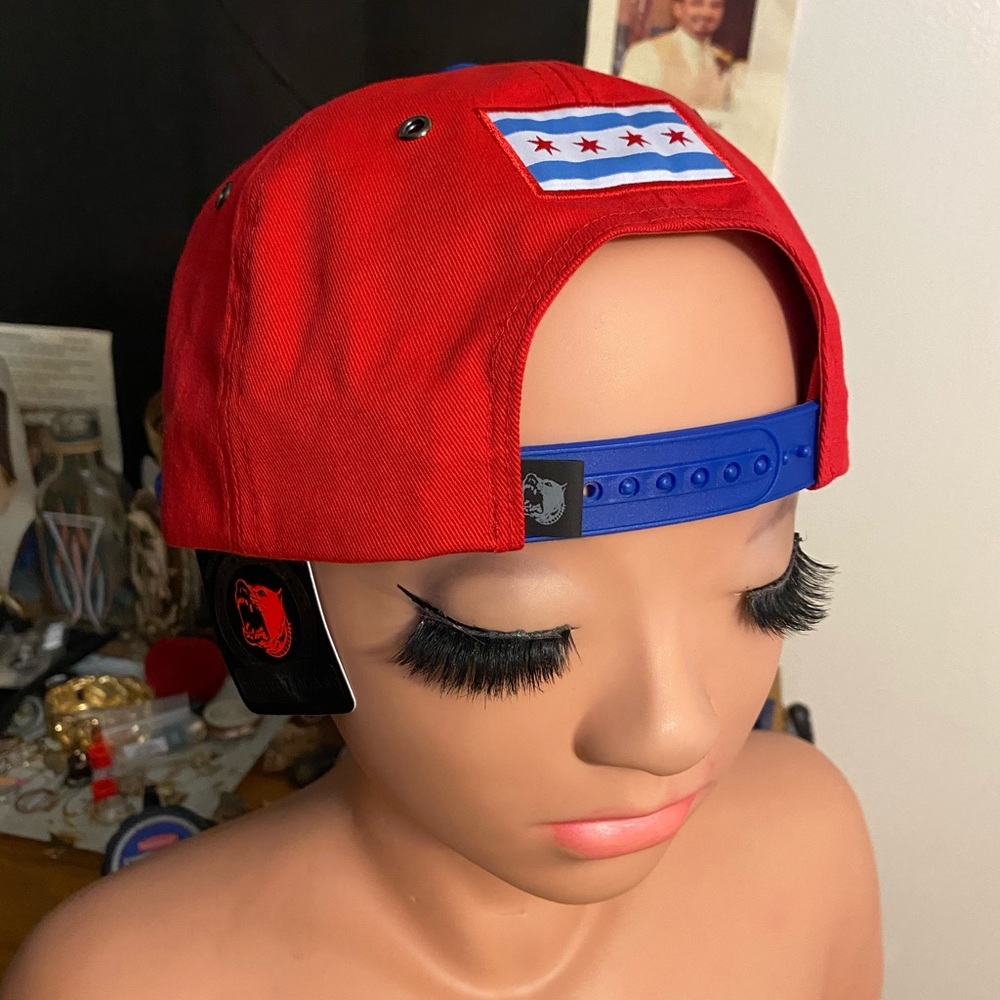 Snap Backs - Picture 5 of 7